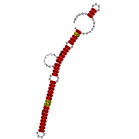 secondary structure