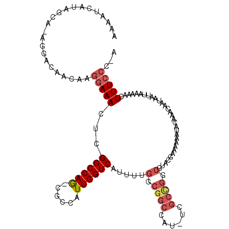 secondary structure