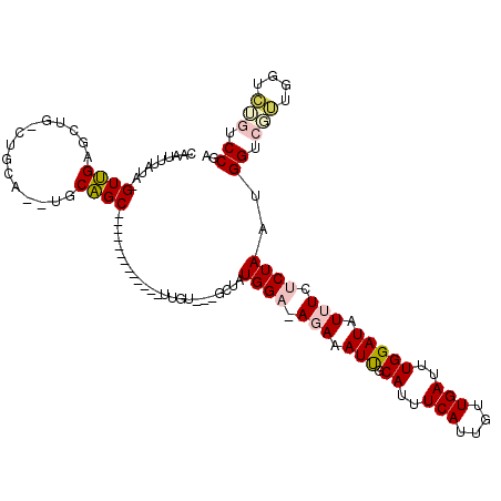secondary structure
