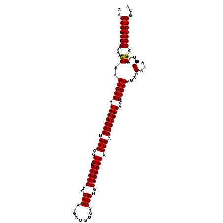 secondary structure