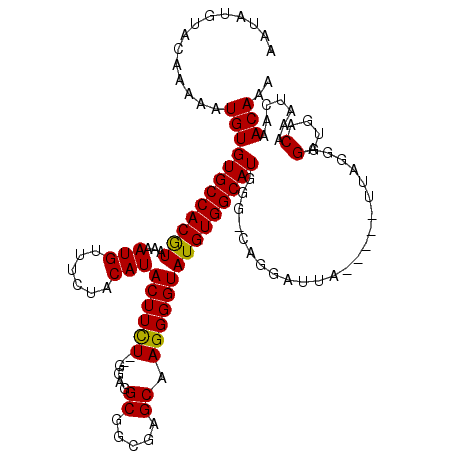 secondary structure