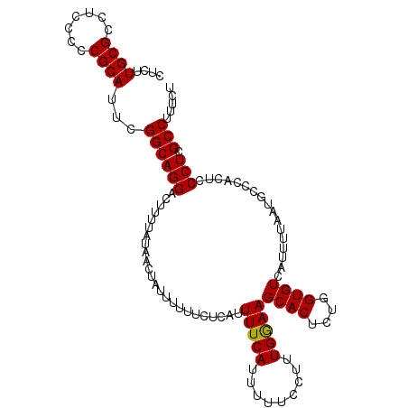 secondary structure