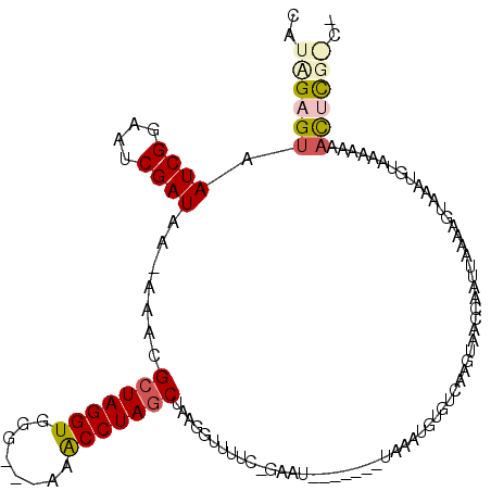 secondary structure