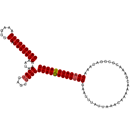 secondary structure