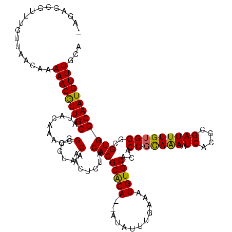 secondary structure