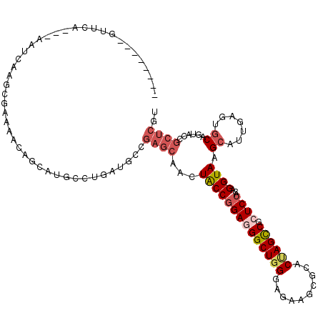 secondary structure