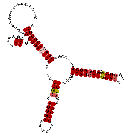 secondary structure
