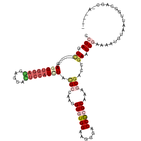 secondary structure
