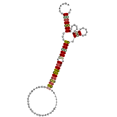 secondary structure