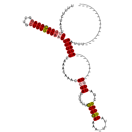 secondary structure