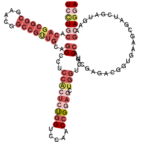 secondary structure