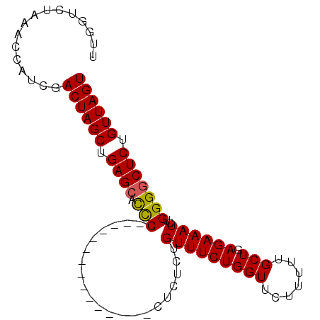 secondary structure