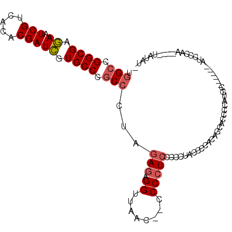 secondary structure
