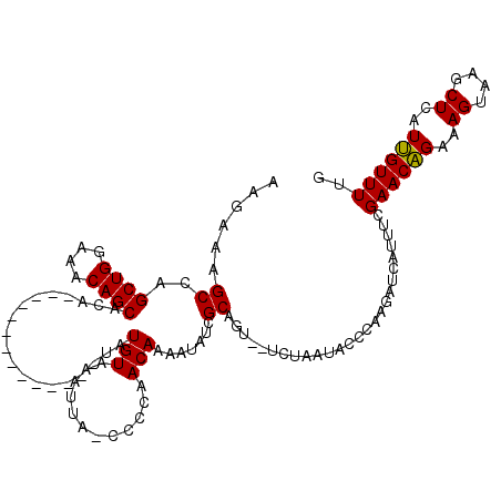 secondary structure