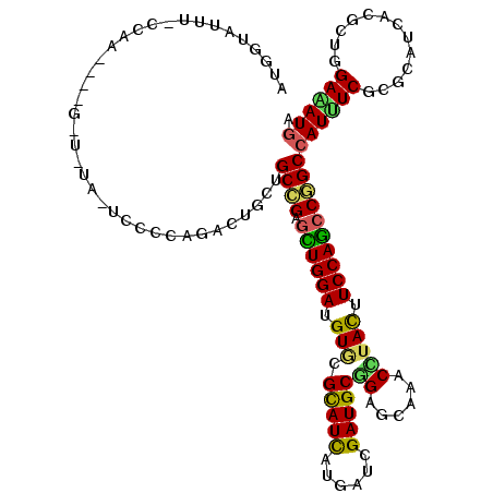 secondary structure