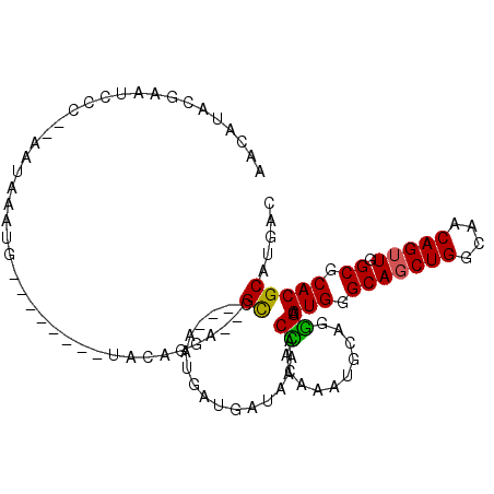secondary structure