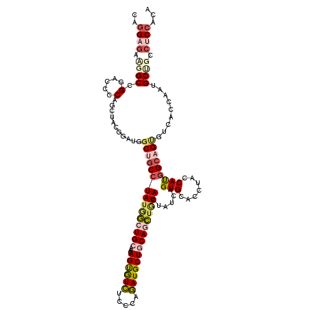 secondary structure