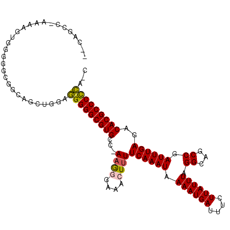 secondary structure