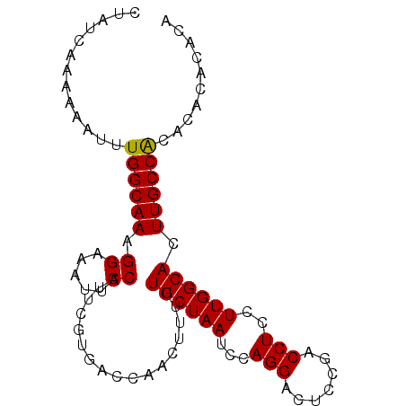 secondary structure