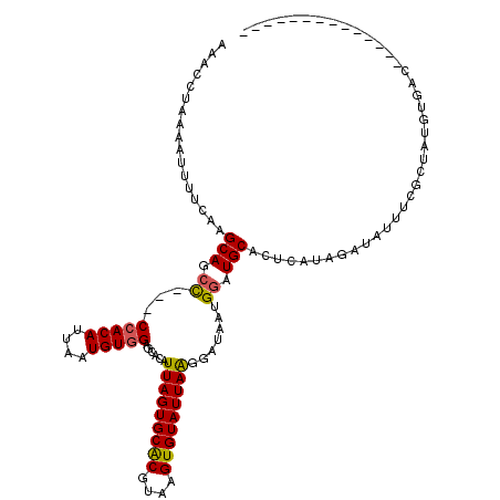 secondary structure