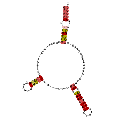 secondary structure