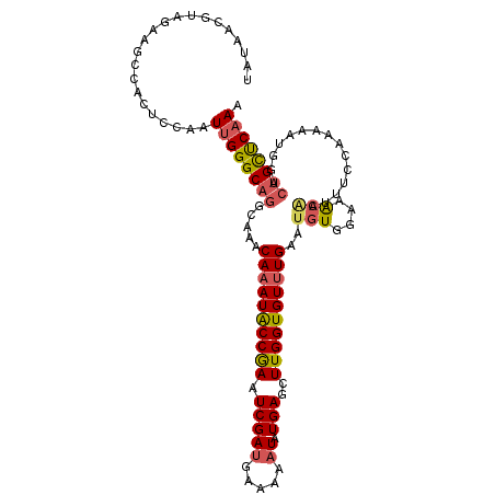 secondary structure