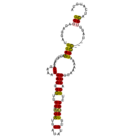 secondary structure