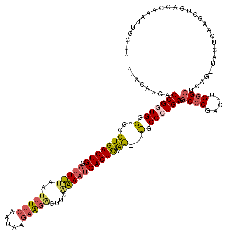 secondary structure
