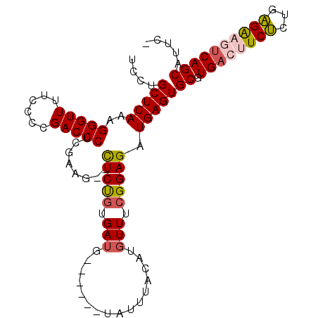 secondary structure