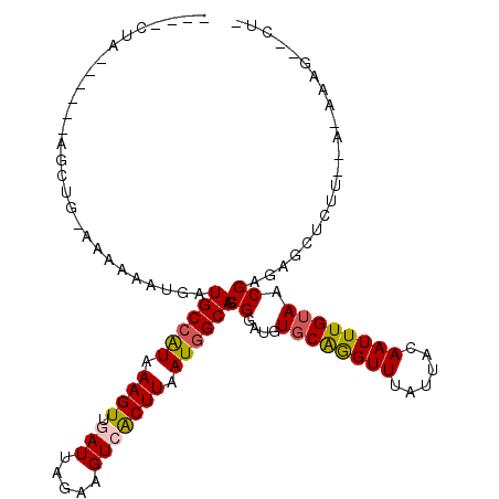 secondary structure