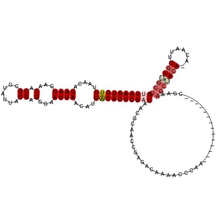secondary structure
