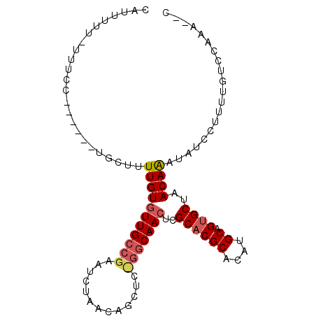secondary structure