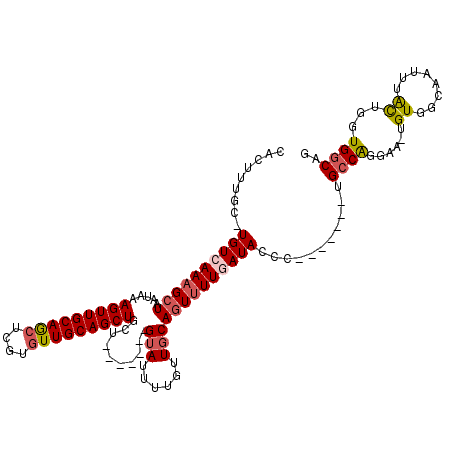 secondary structure