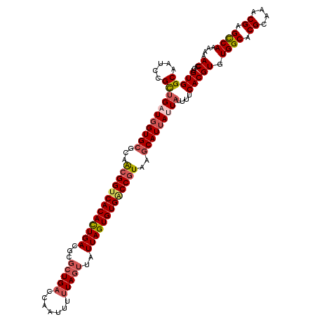 secondary structure