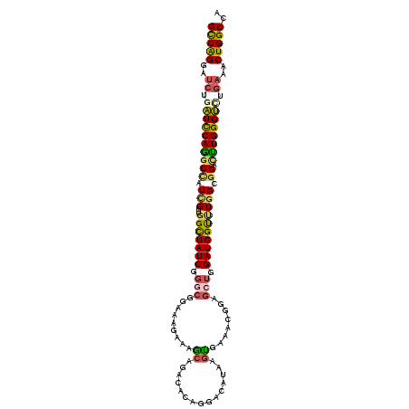 secondary structure