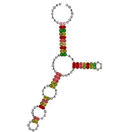 secondary structure