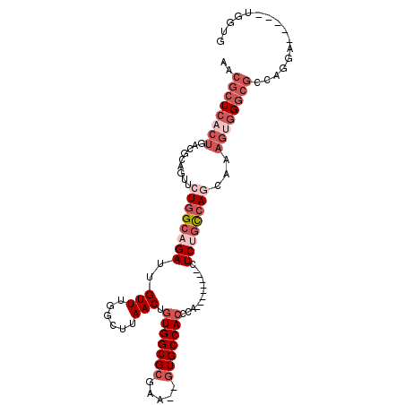 secondary structure