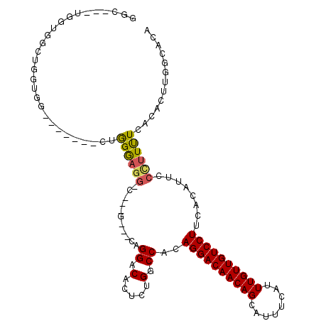 secondary structure