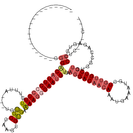 secondary structure