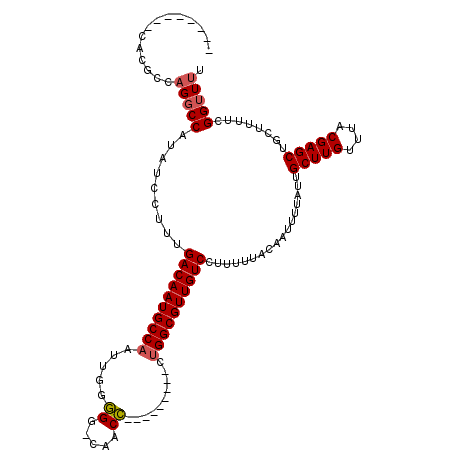 secondary structure