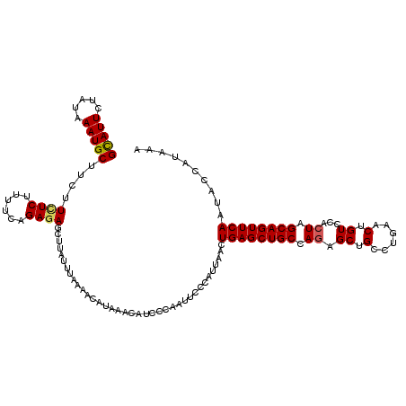 secondary structure