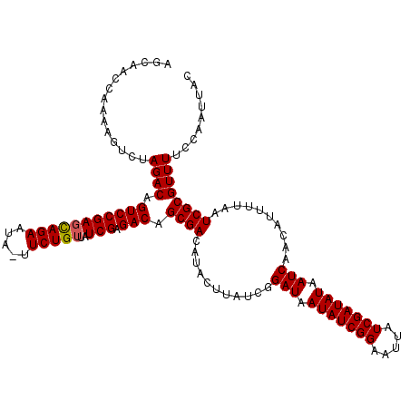 secondary structure