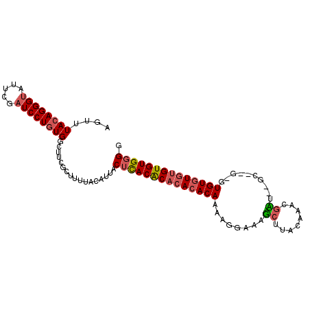 secondary structure