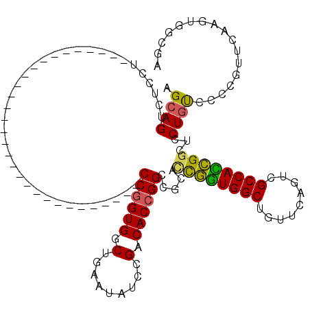 secondary structure