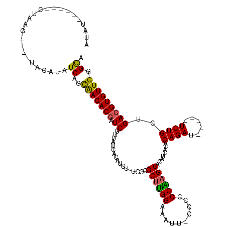 secondary structure