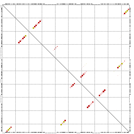 dotplot