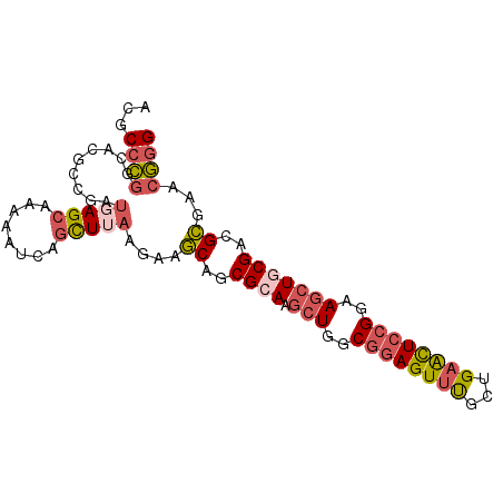 secondary structure