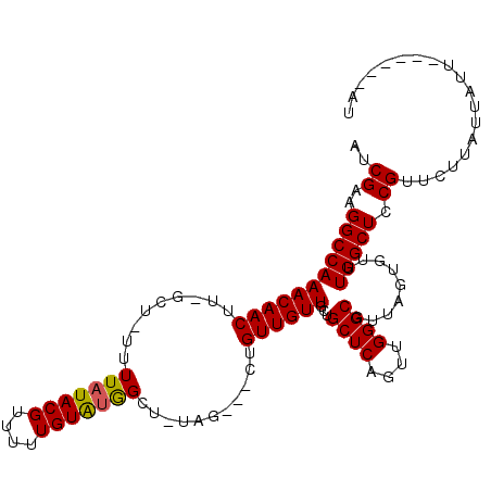 secondary structure
