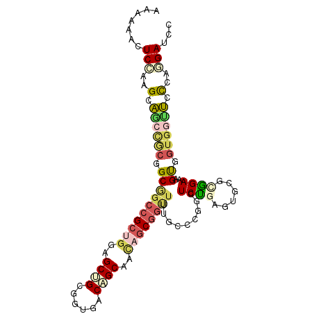 secondary structure