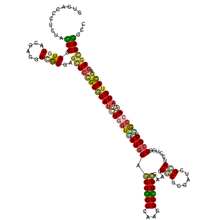 secondary structure